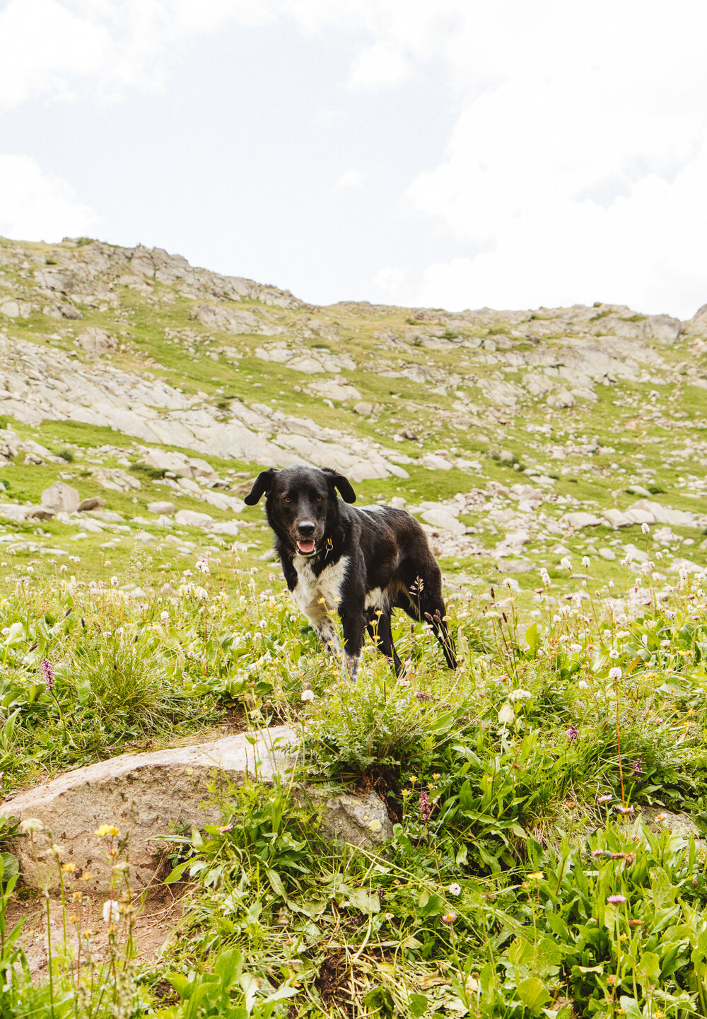 Colorado_FancyPassMissouriLakesLoop__Canon_July17_187-26.jpg