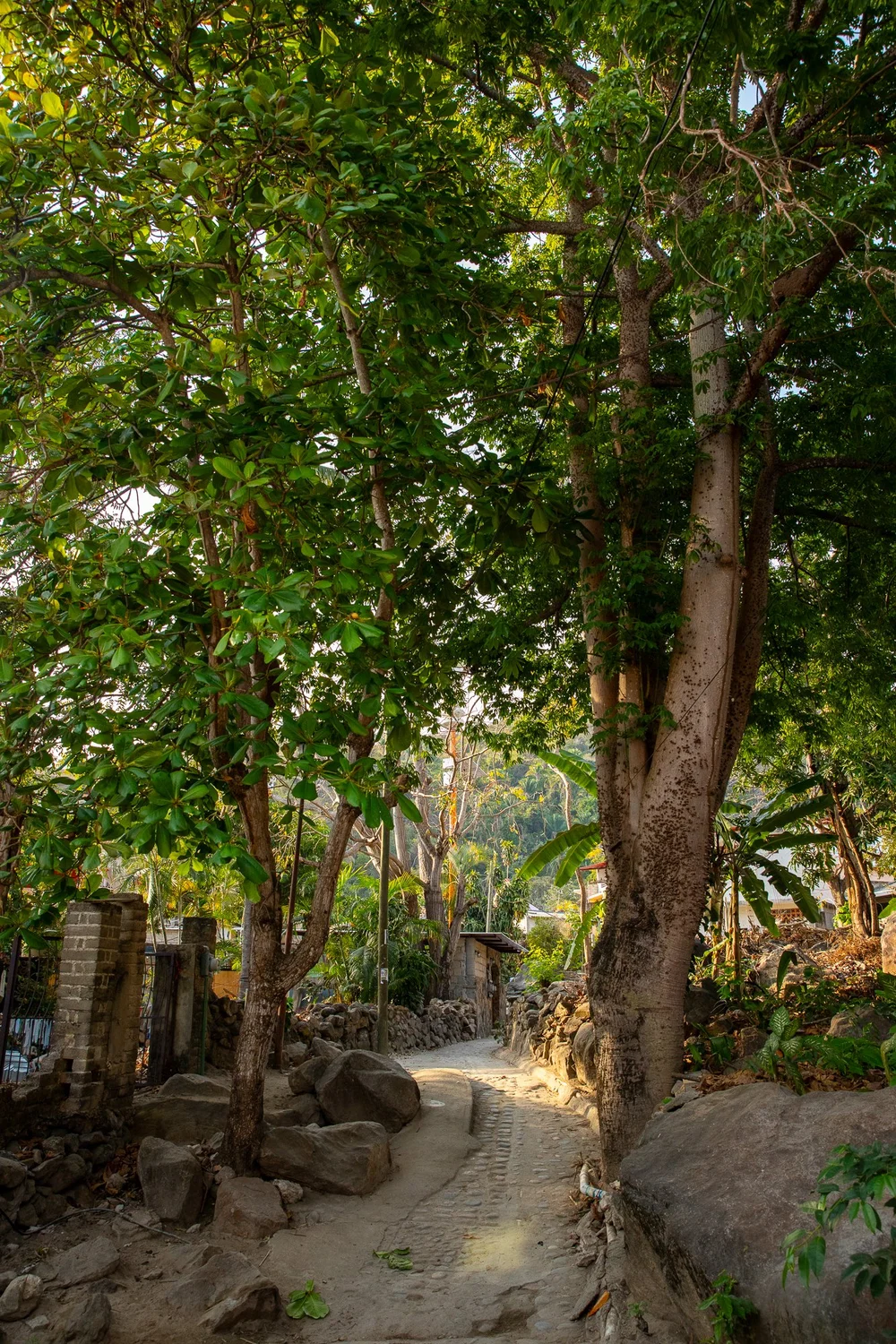 April2024_Yelapa_HollyMandarich_Canon00148.jpg