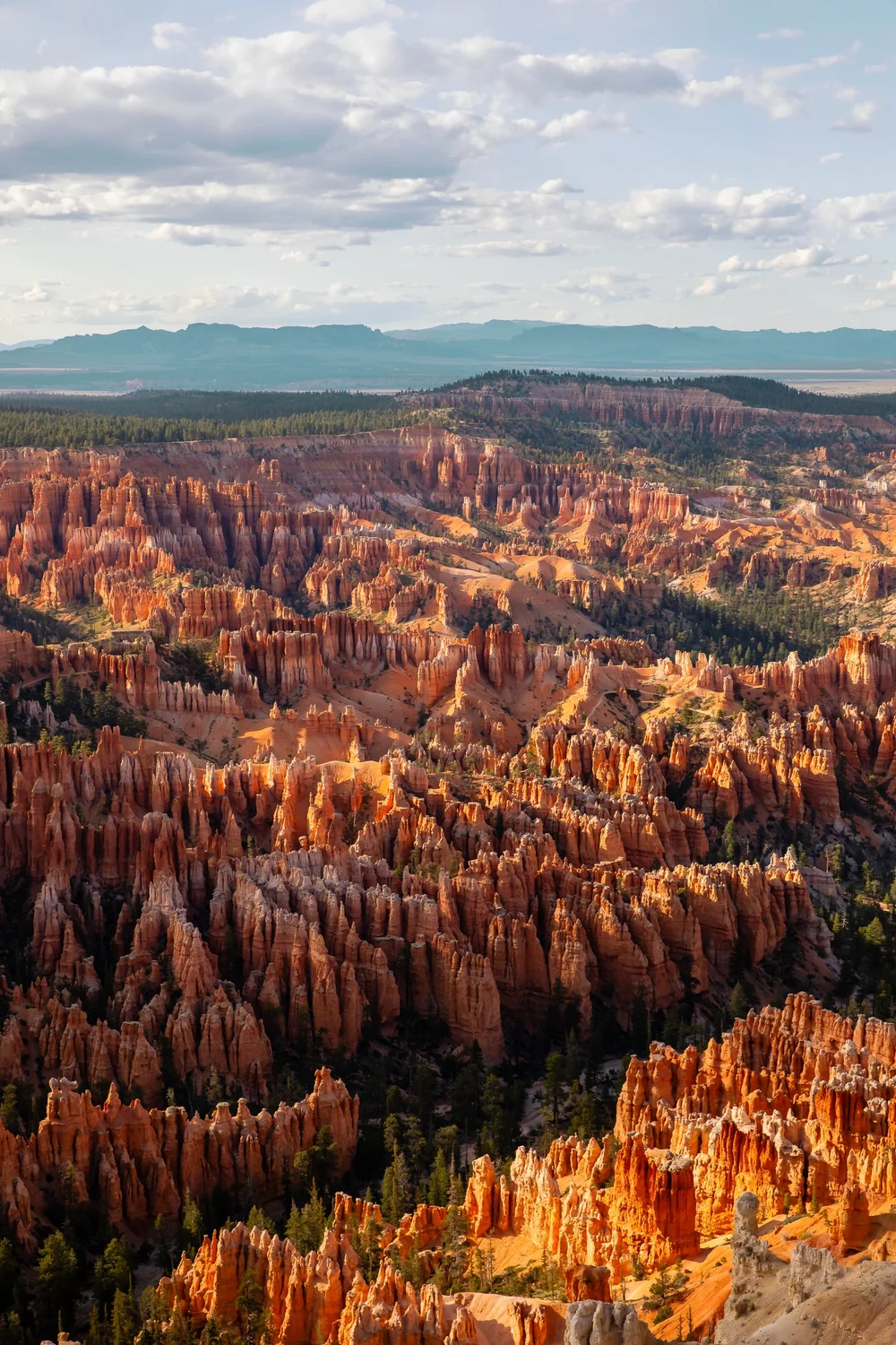 Bryce-6058.jpg