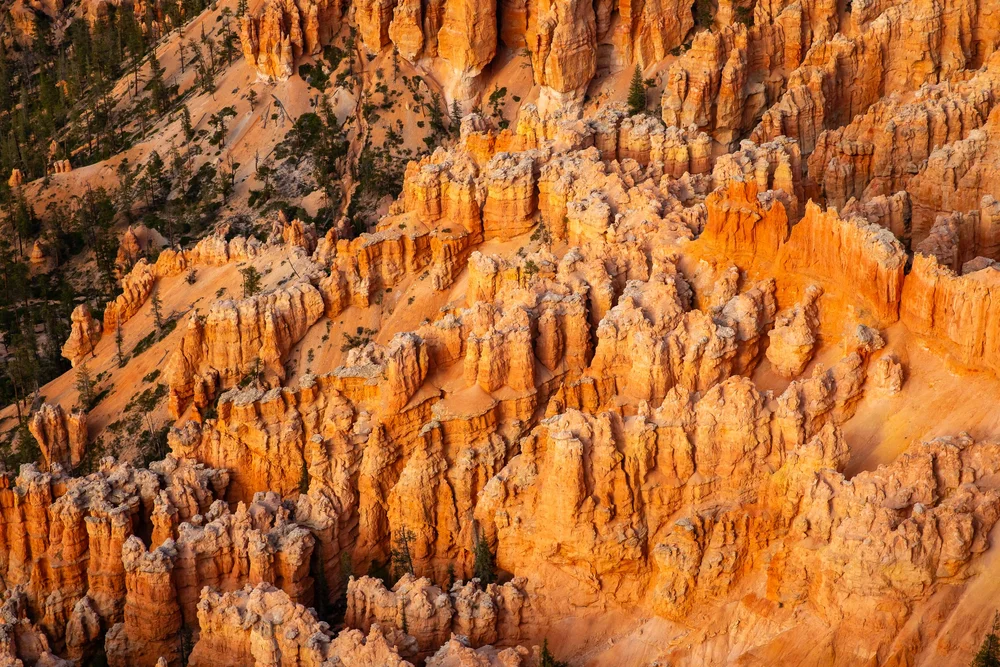 Bryce-6164.jpg