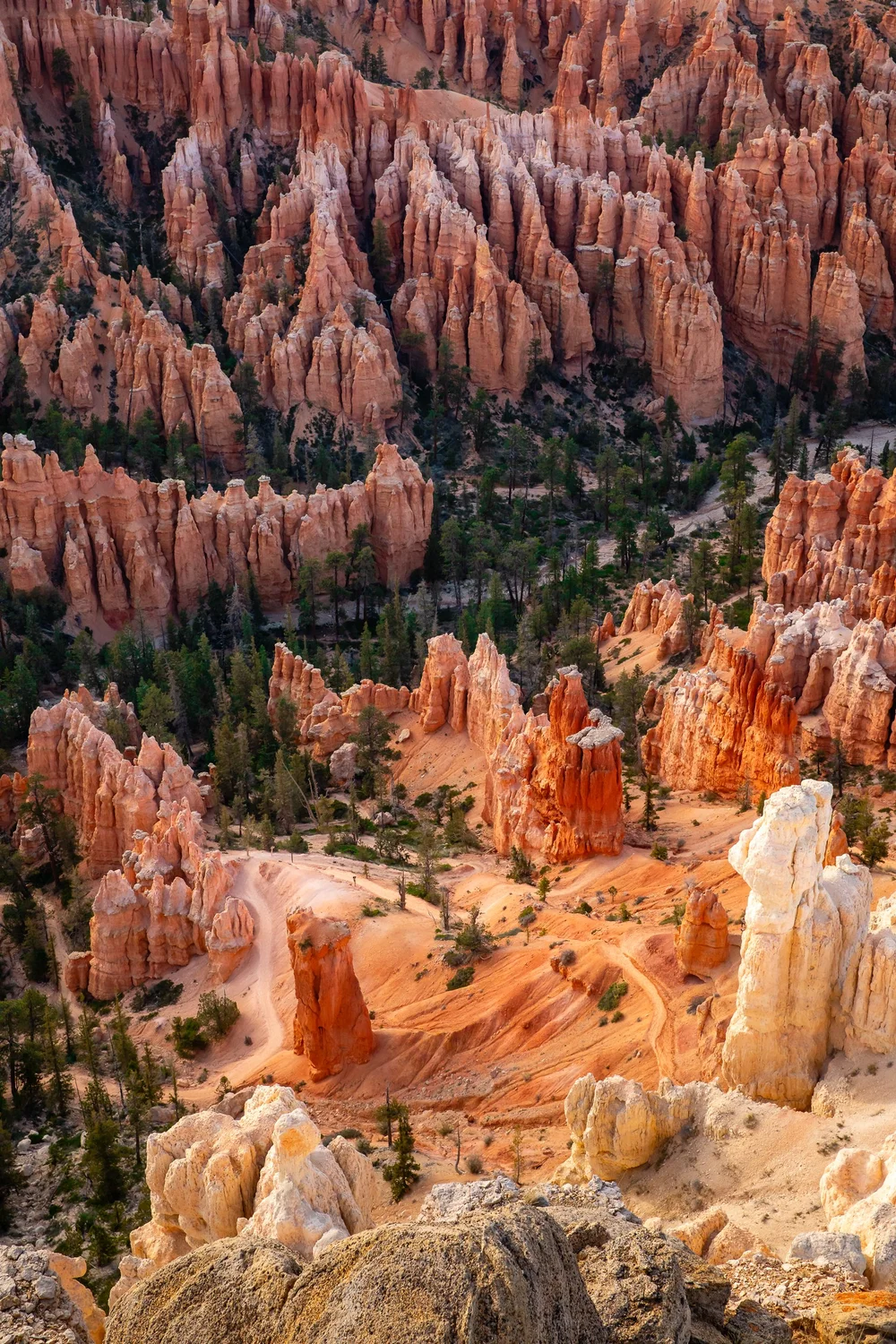 Bryce-6165.jpg