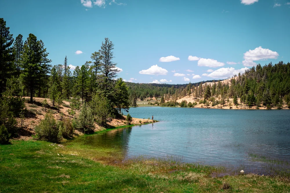 Bryce-6206.jpg