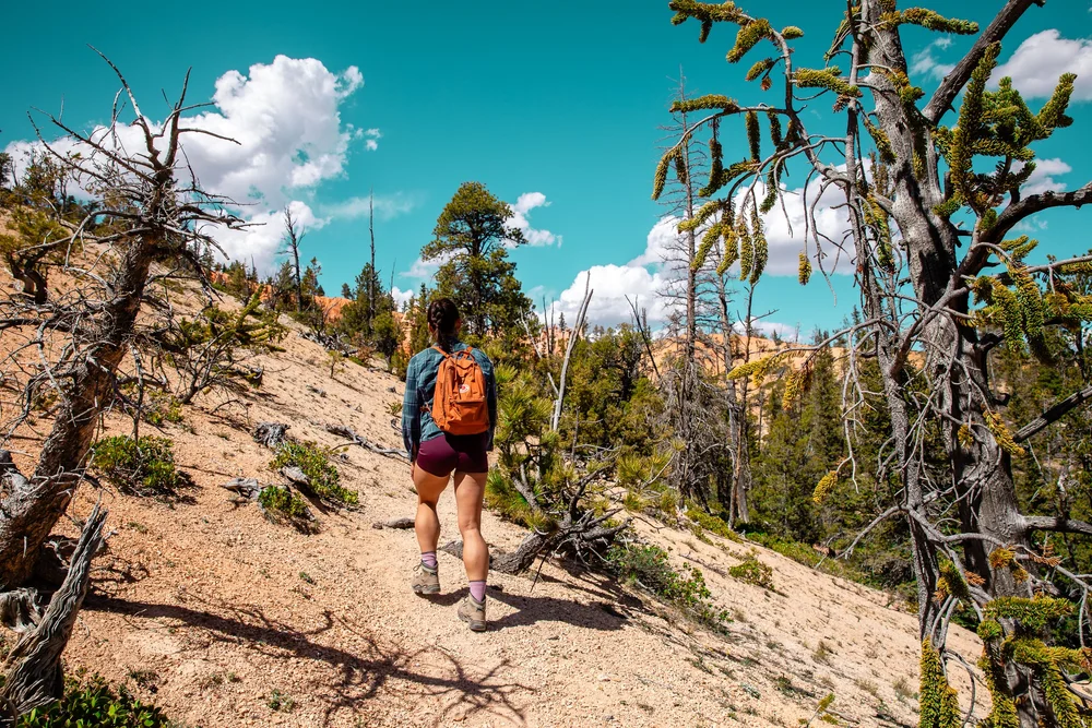 Bryce-6297.jpg