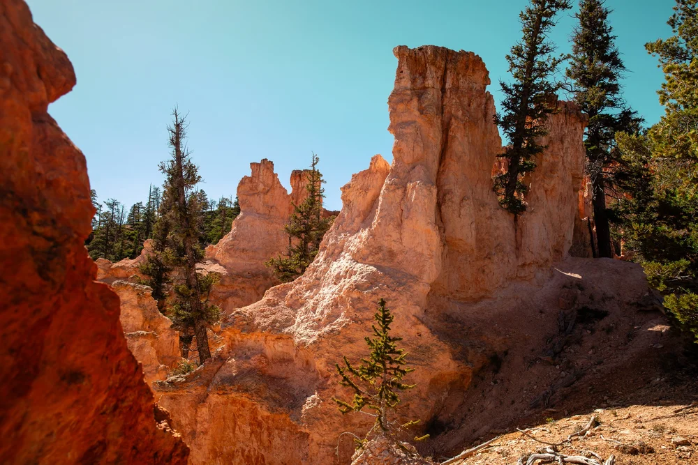 Bryce-6370.jpg