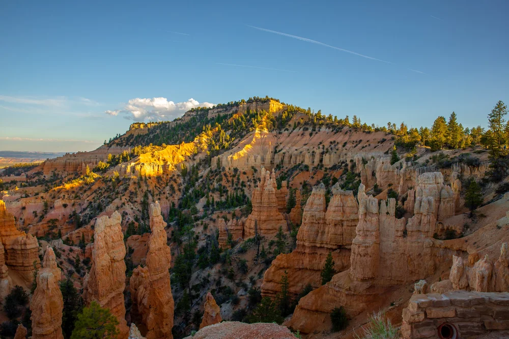 Bryce-6667.jpg