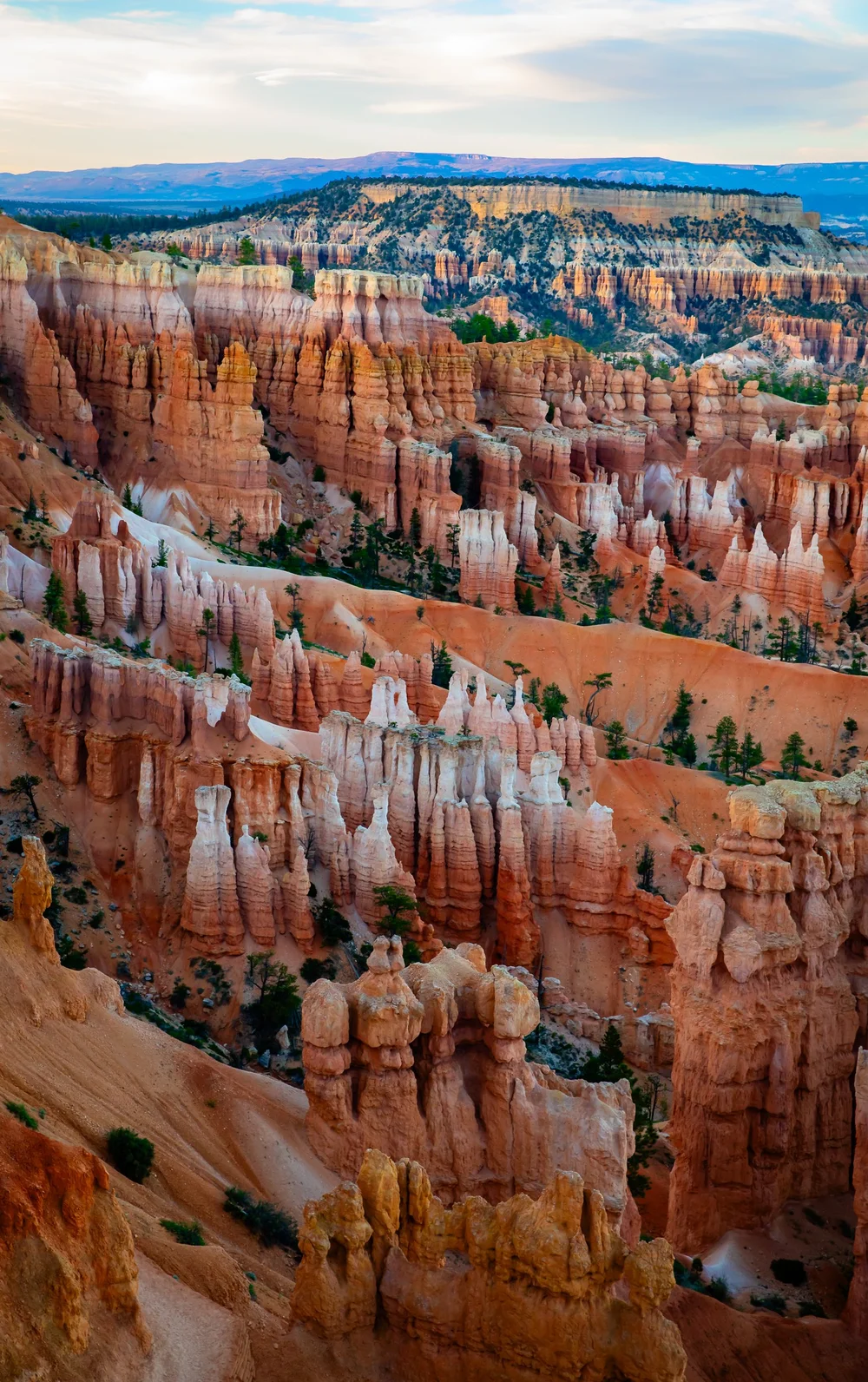 Bryce-6679.jpg
