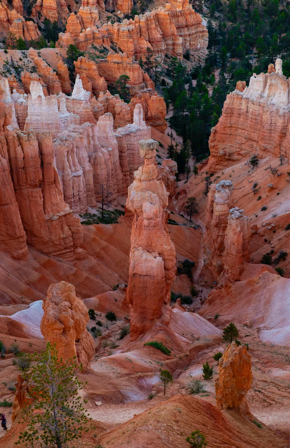 Bryce-6681.jpg