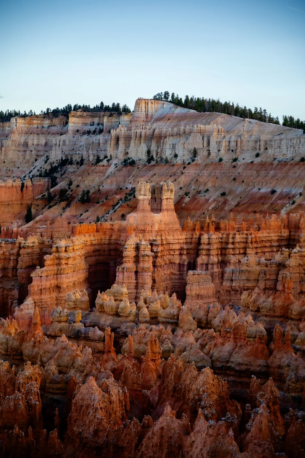 Bryce-6699.jpg