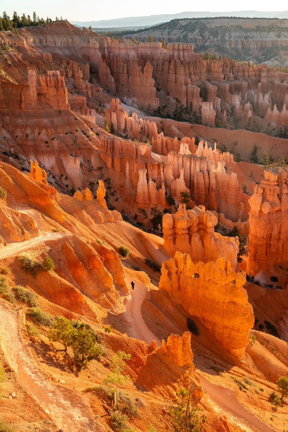 Bryce-6391.jpg