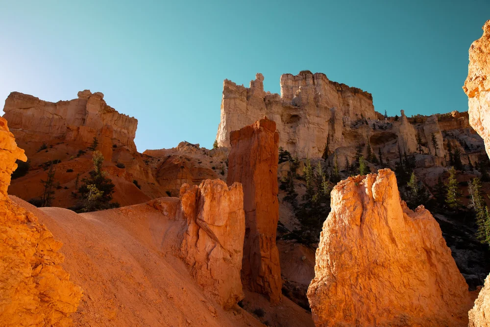 Bryce-6558.jpg