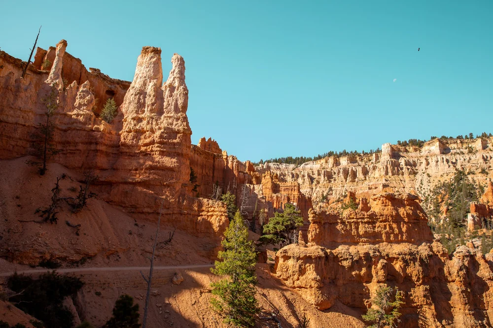 Bryce-6619.jpg