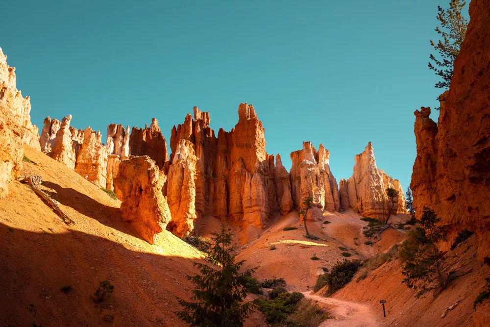 Bryce-6551.jpg