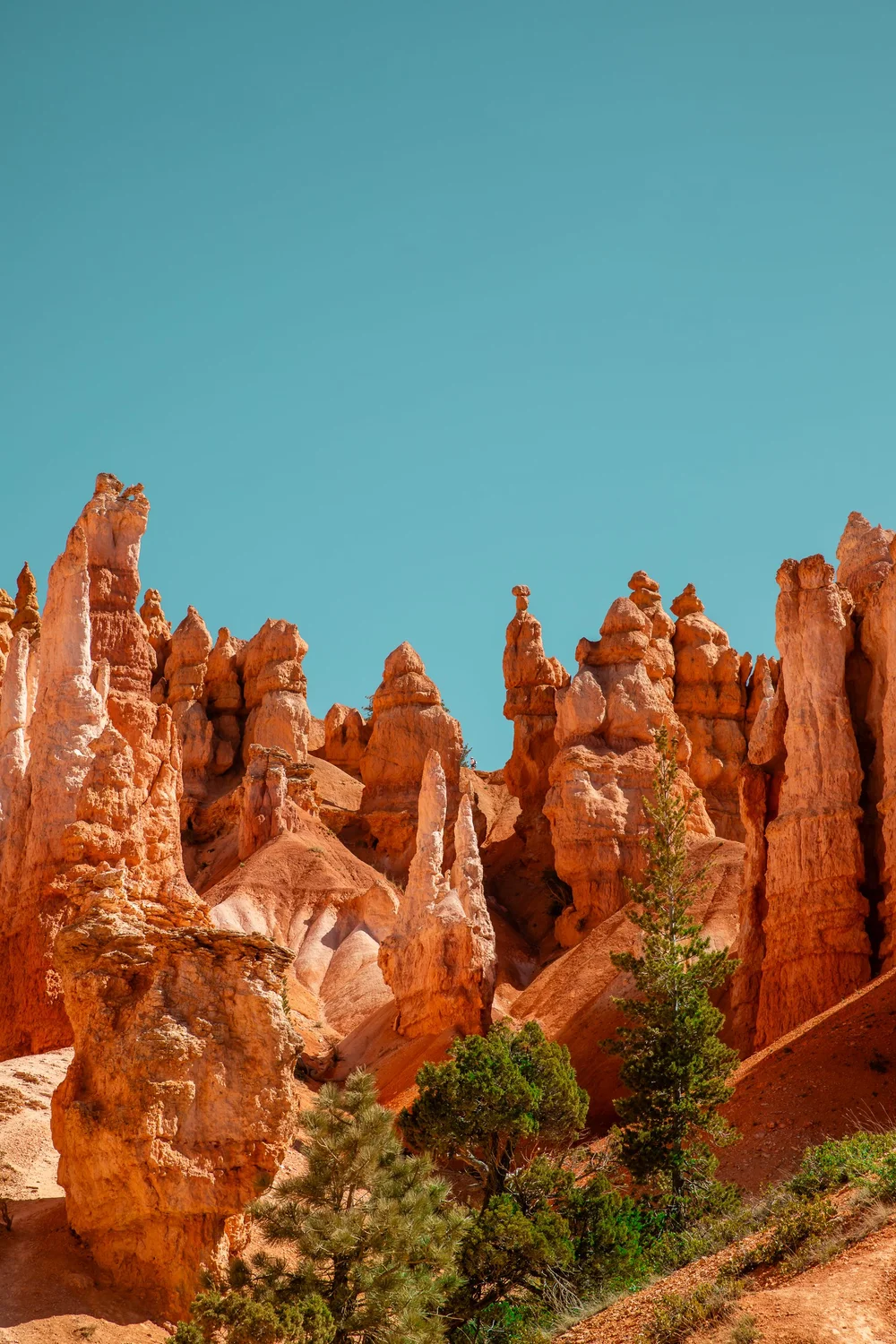 Bryce-6628.jpg