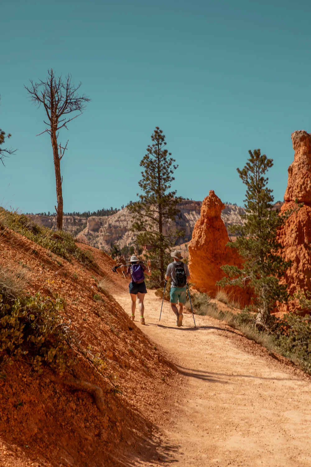 Bryce-6631.jpg