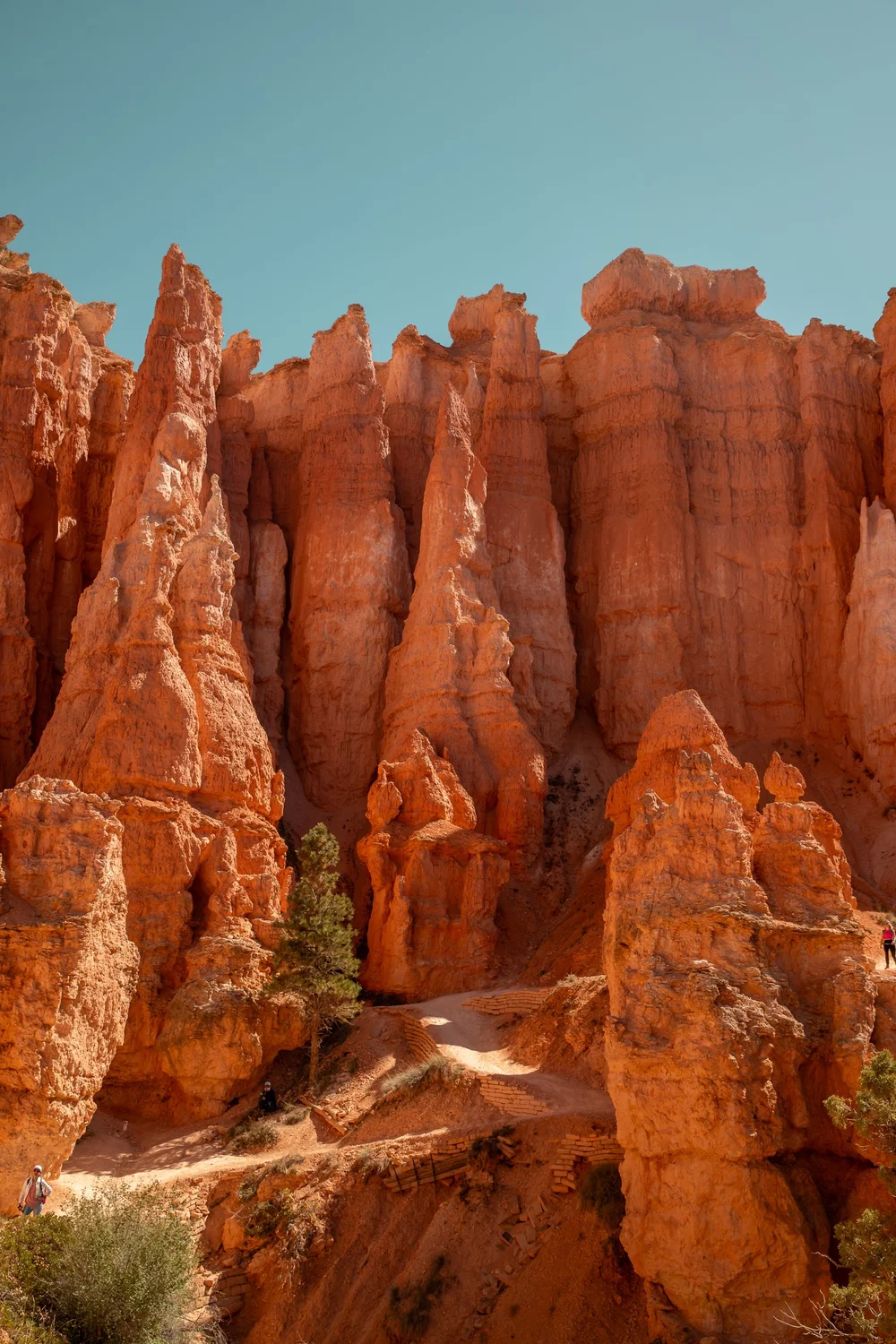 Bryce-6633.jpg
