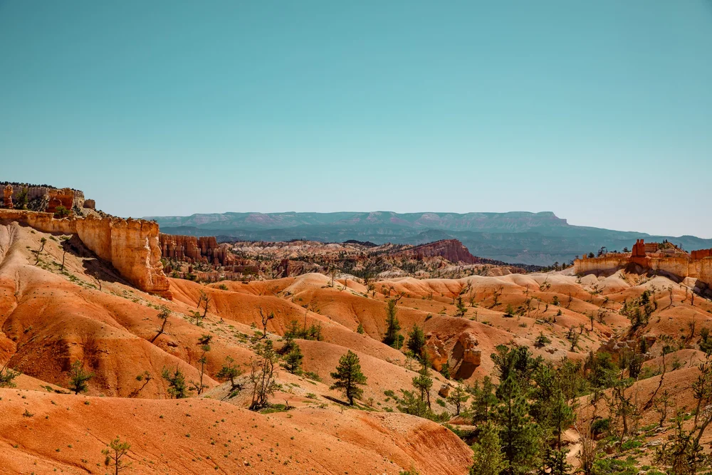 Bryce-6642.jpg