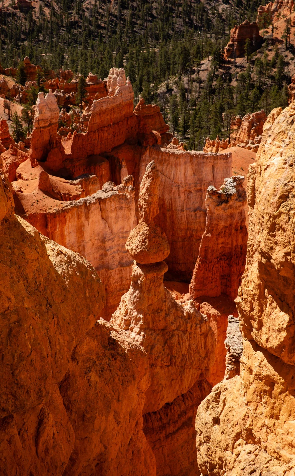 Bryce-6651.jpg