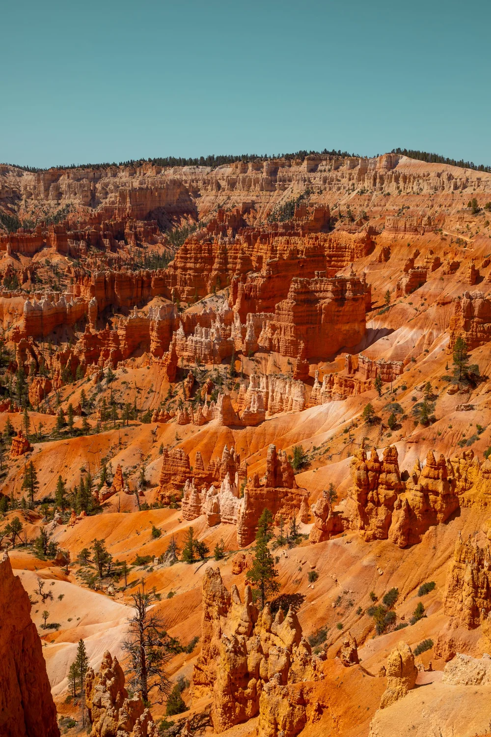 Bryce-6655.jpg