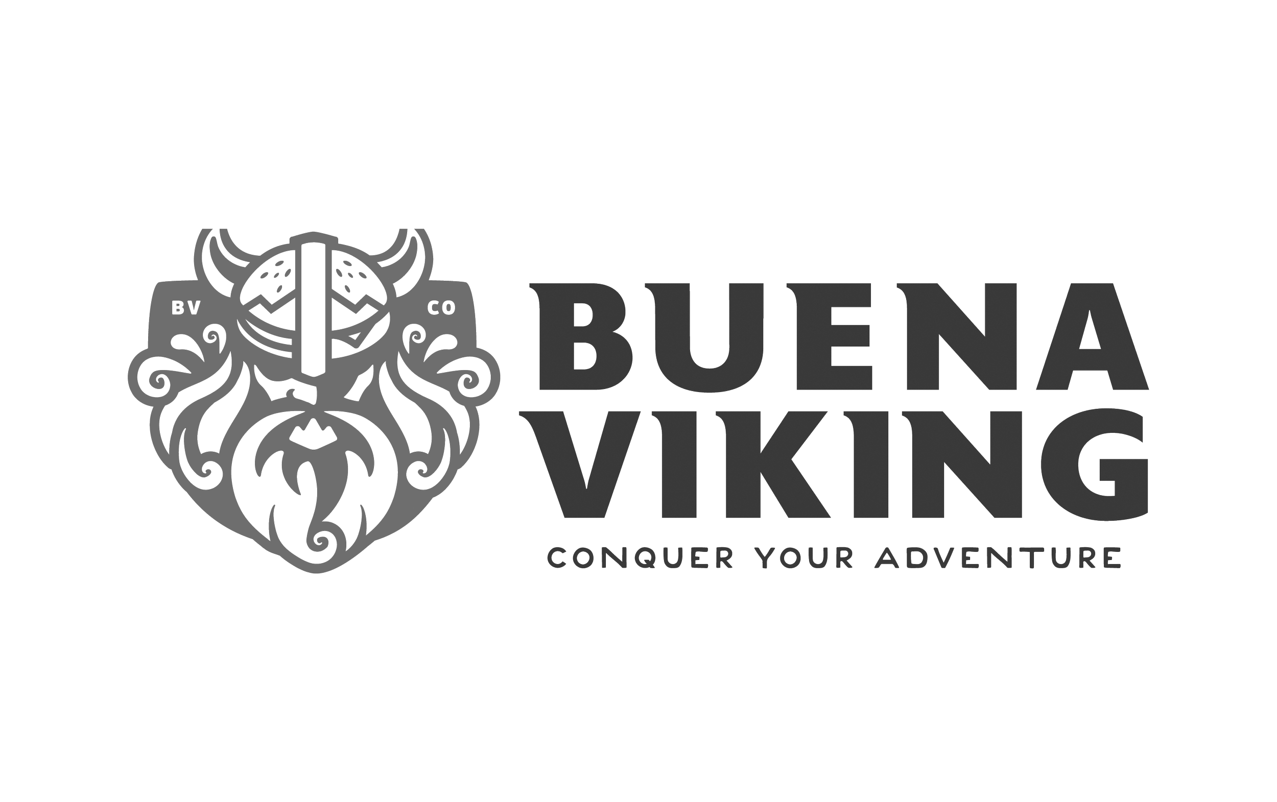 BViking.png