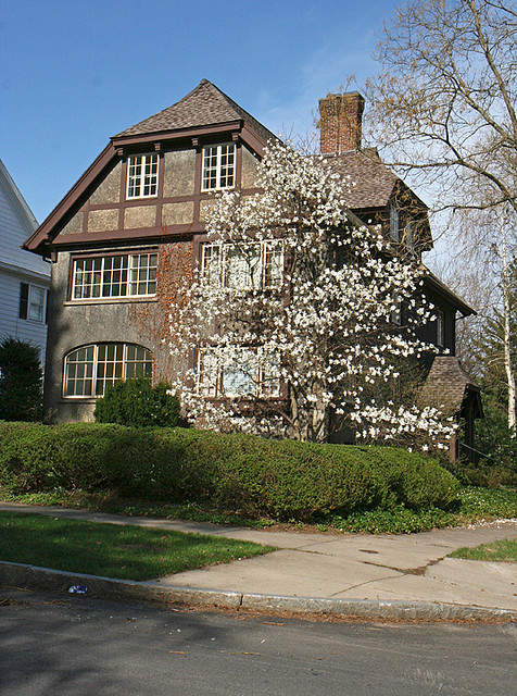Bellevue Drive and Mount Vernon