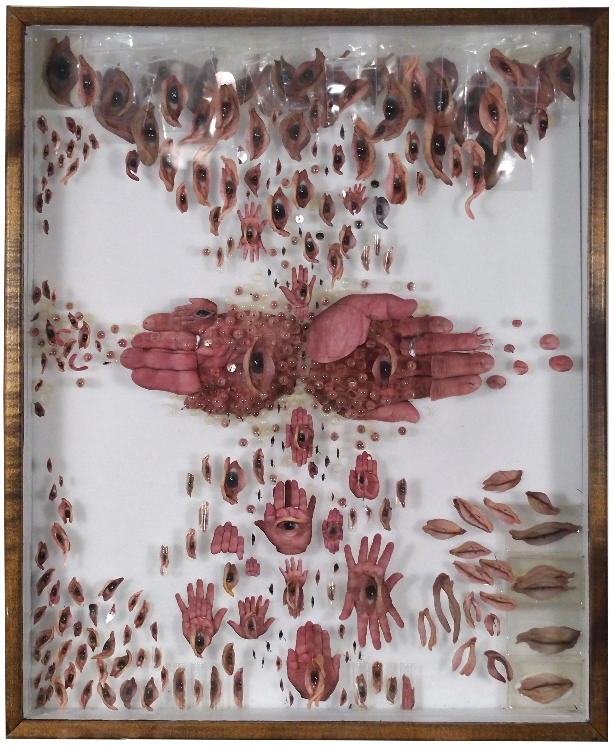 Specimen HLG1