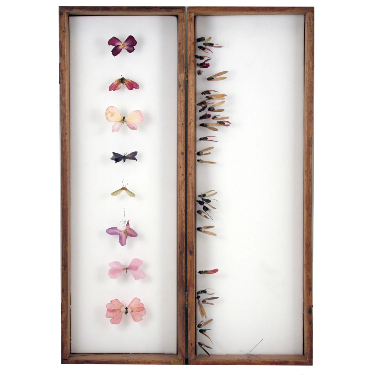 Botanical 10