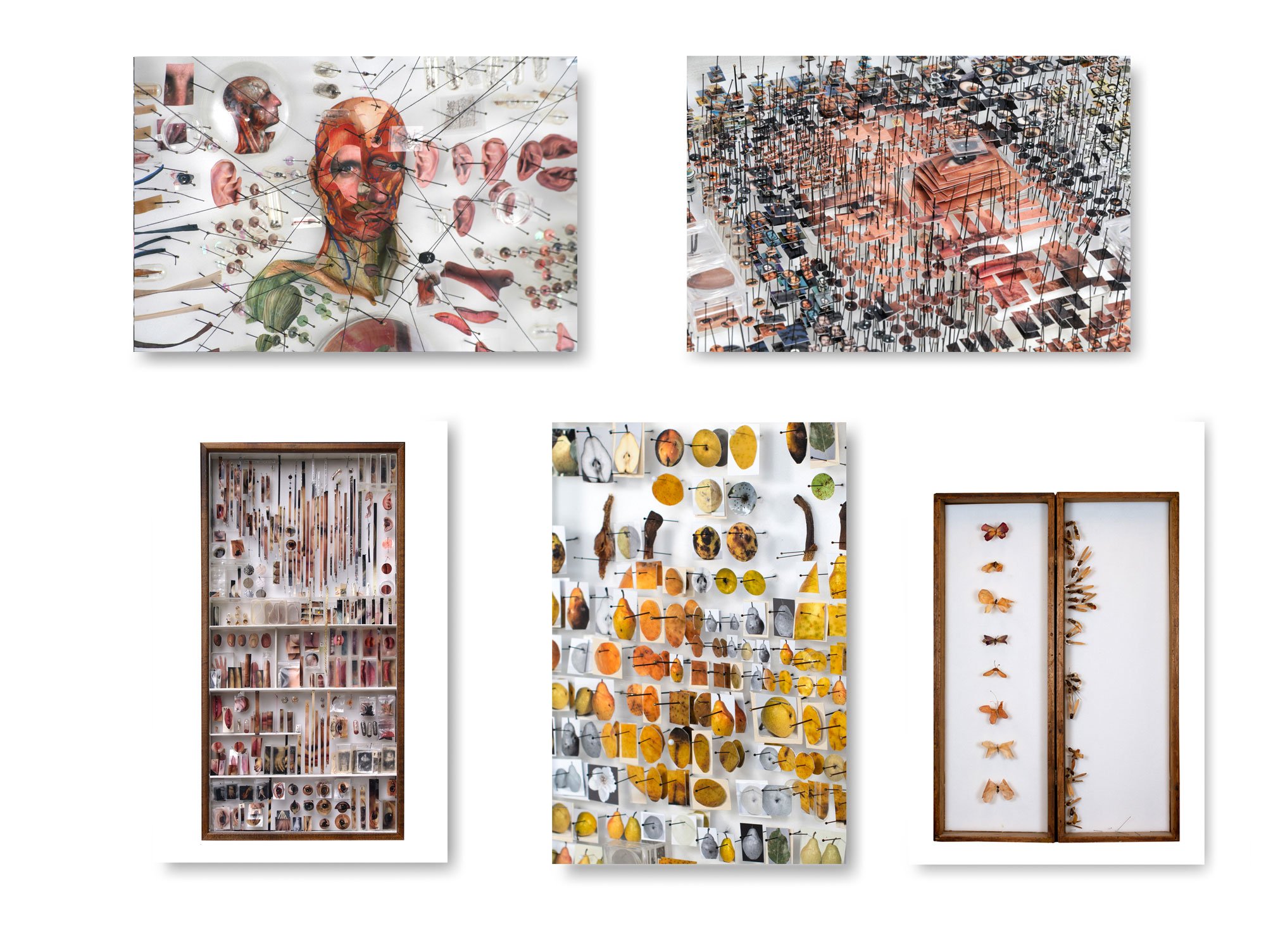 ( #5 ) assorted works