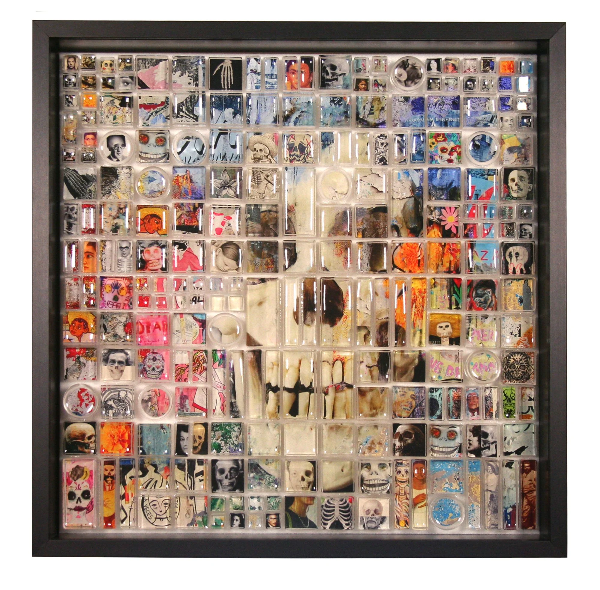 especimen muerto n 02