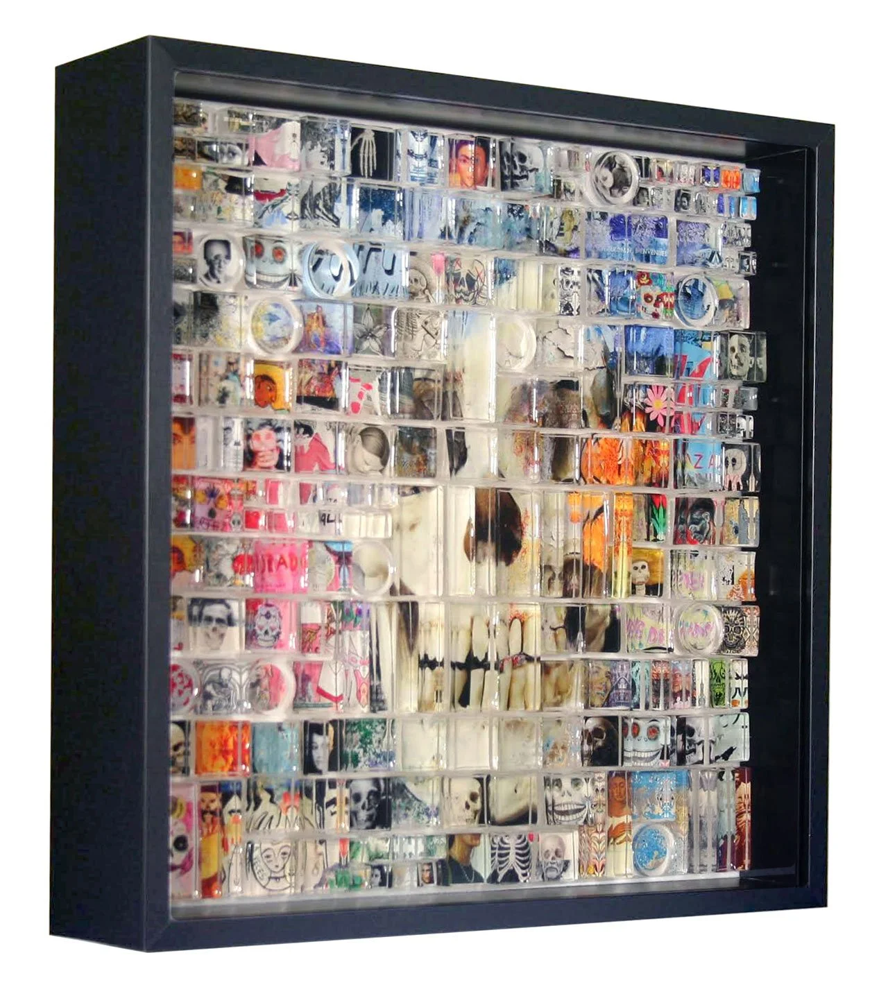 especimen muerto n 02