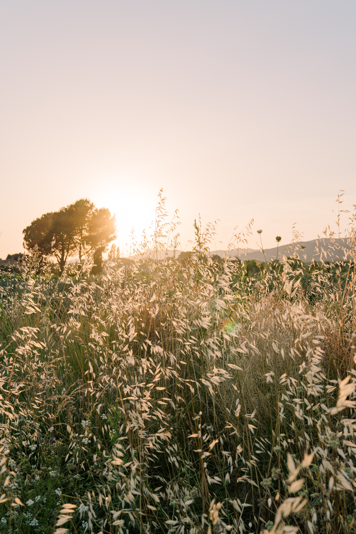 TRAVEL-Photography-provence-landscape-nature-luberon-Clara-Tuma.jpg