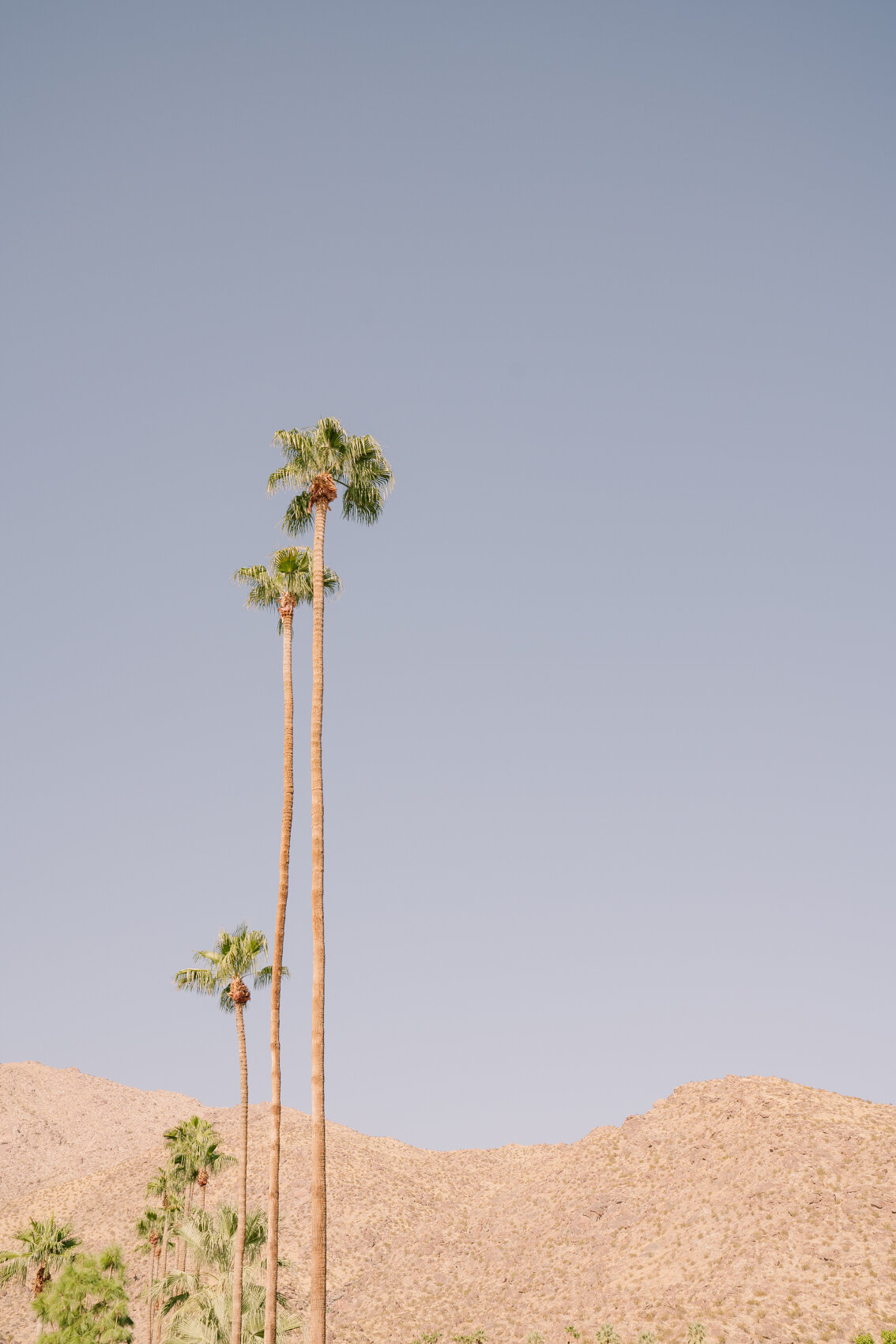 TRAVEL-Photography-Clara-Tuma_California_Palm-Springs_010.jpg