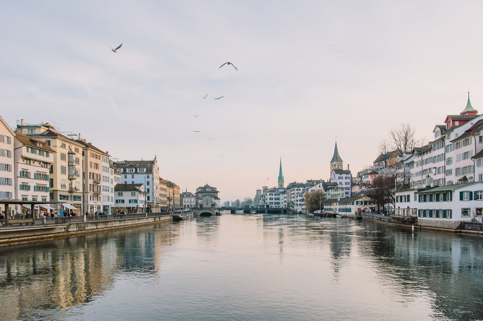  Evening in Zurich, Switzerland. The Limmat river divides both old parts of the town. Fraumünster church (with turquoise spire) and St. Peter on the right side. Limmatquai, which is car-free and tram-only, on the left. 