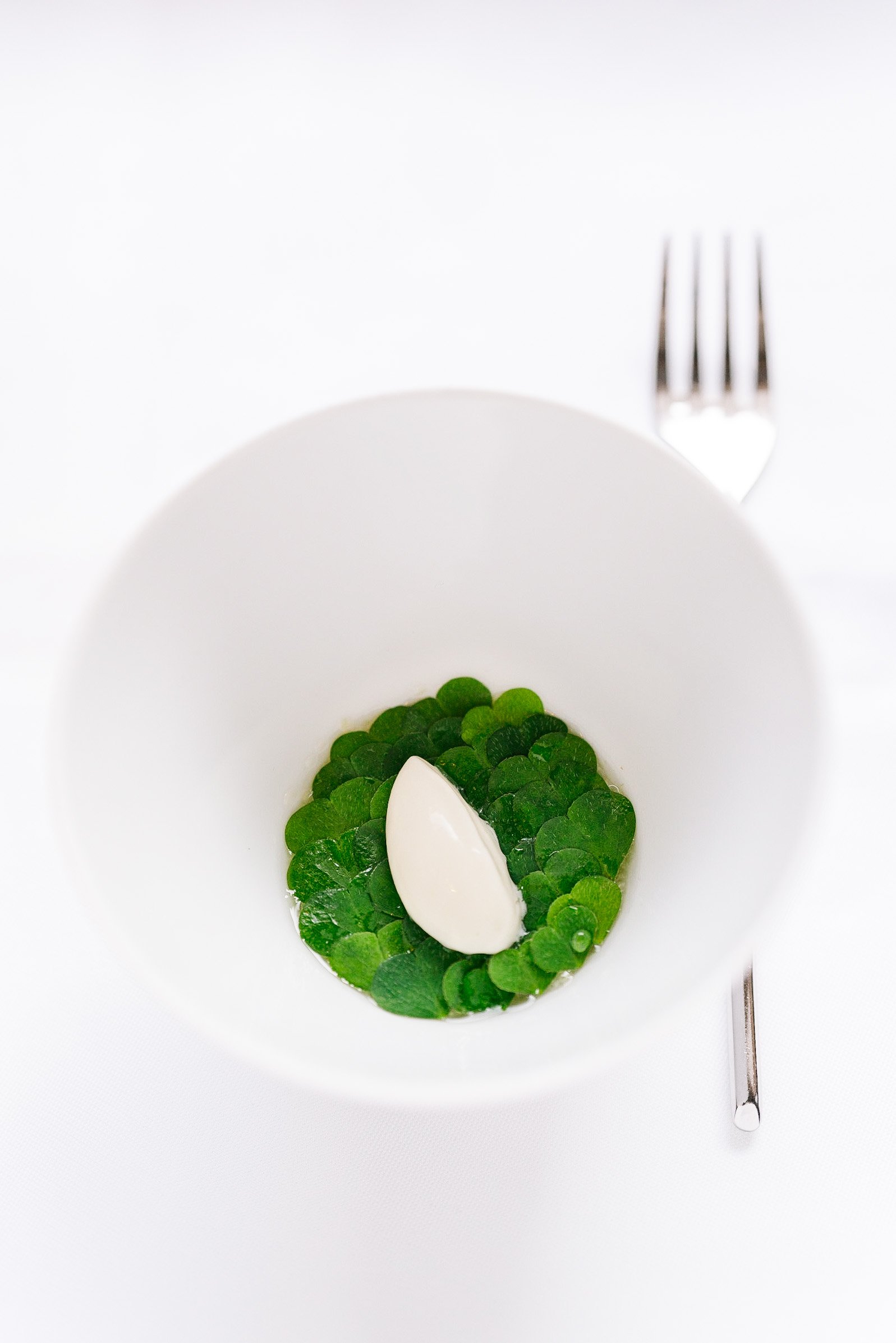  Benjamin Parth's dish at restaurant Stüva: Buttermilk - Sorrel [Buttermilch - Sauerklee] 