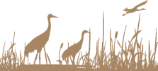 reedscape88.png