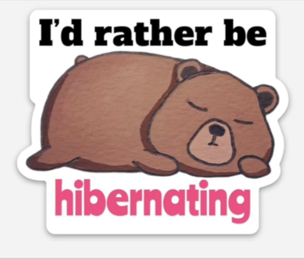 Screenshot 2025-05-04 at 12.24.17 AM.png