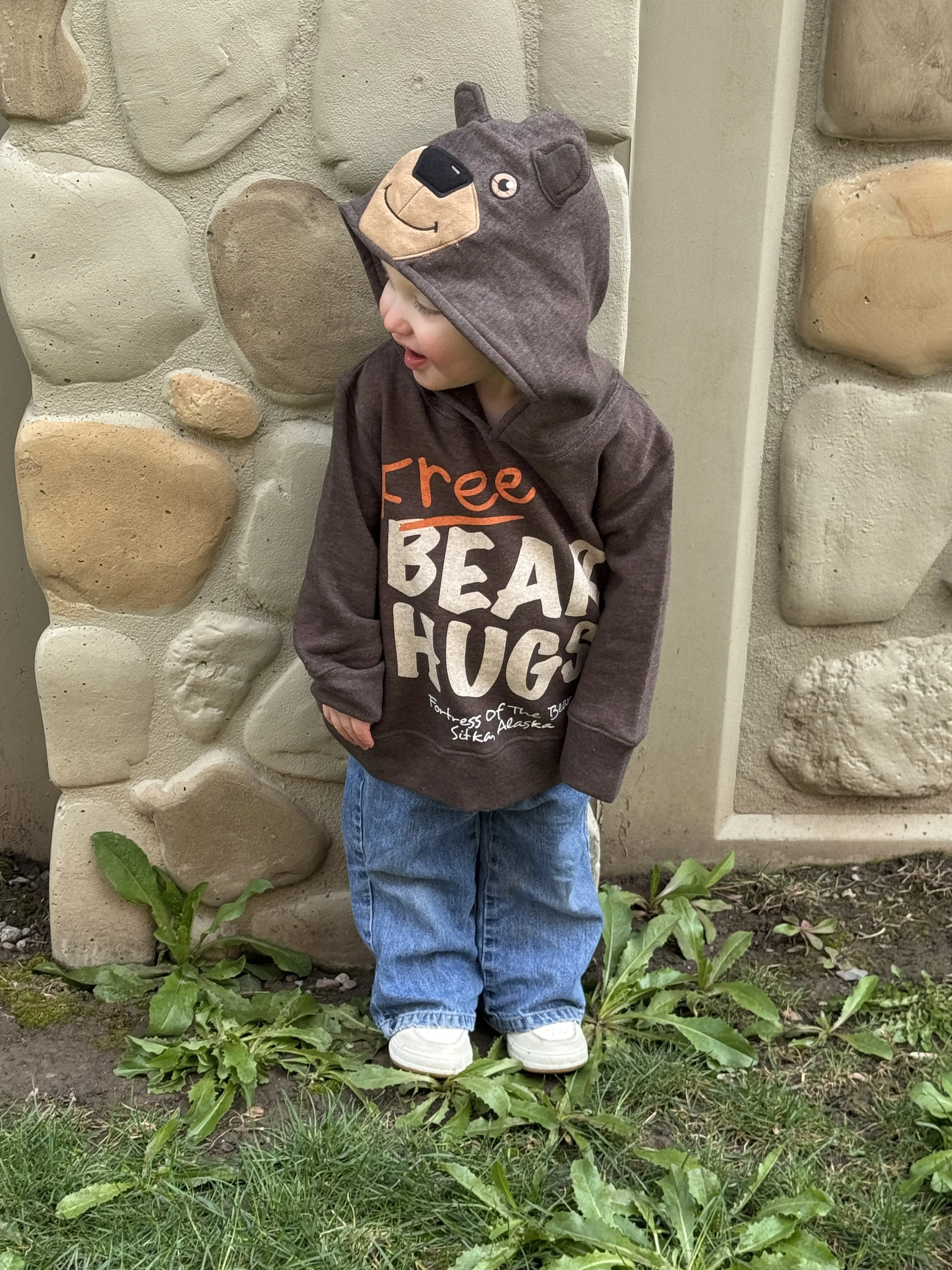 Free Bear Hug Toddler Hoodie