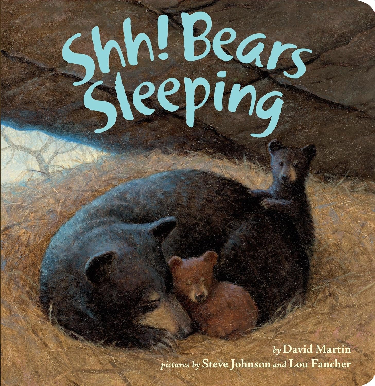 Shh! Bears Sleeping book