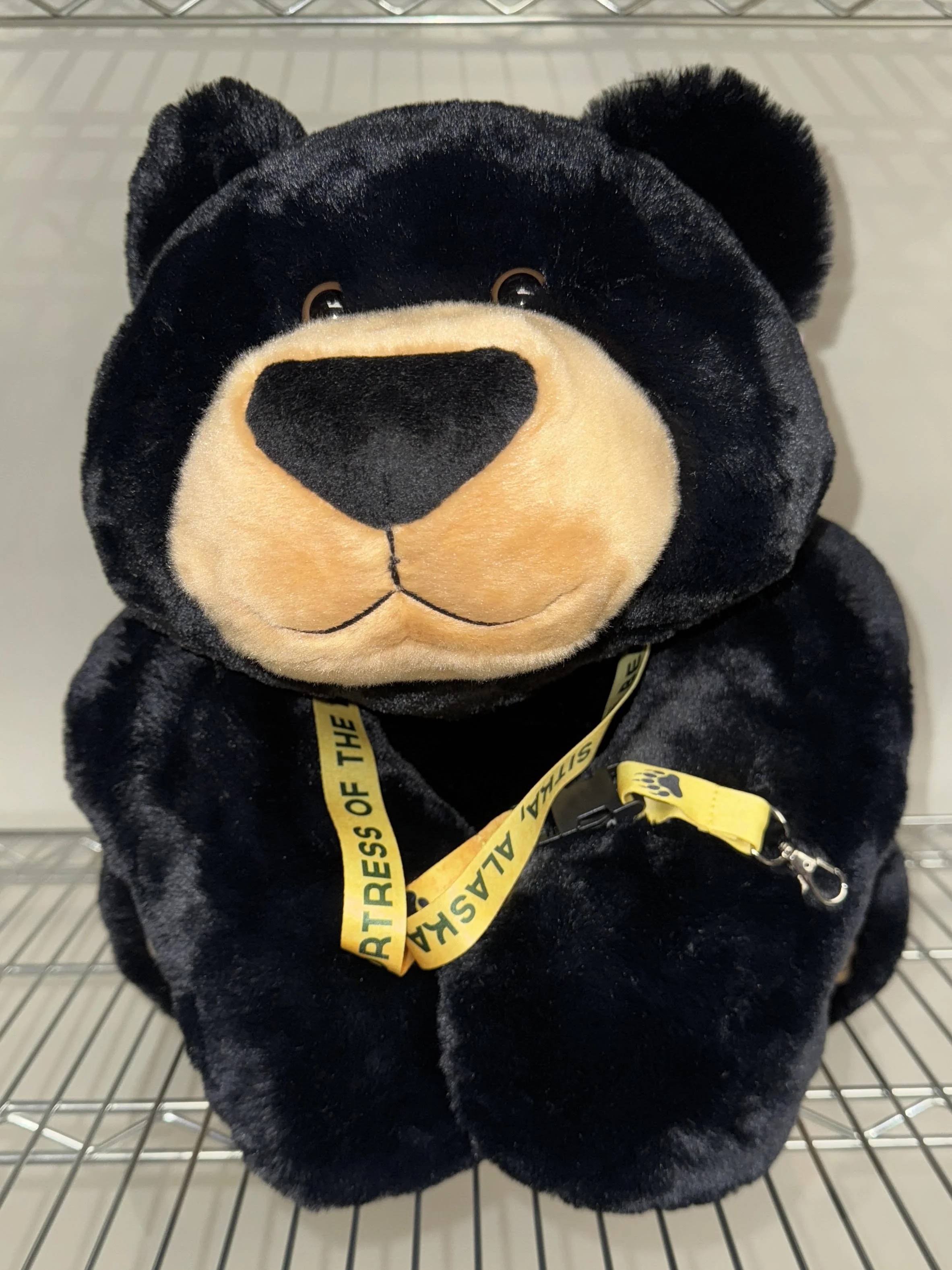 Lanyard