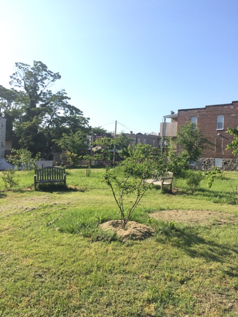 June 2017