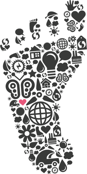 Quadriceps Stretches