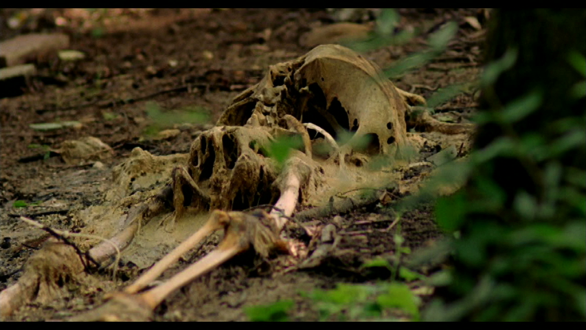 23_Dead.jpeg