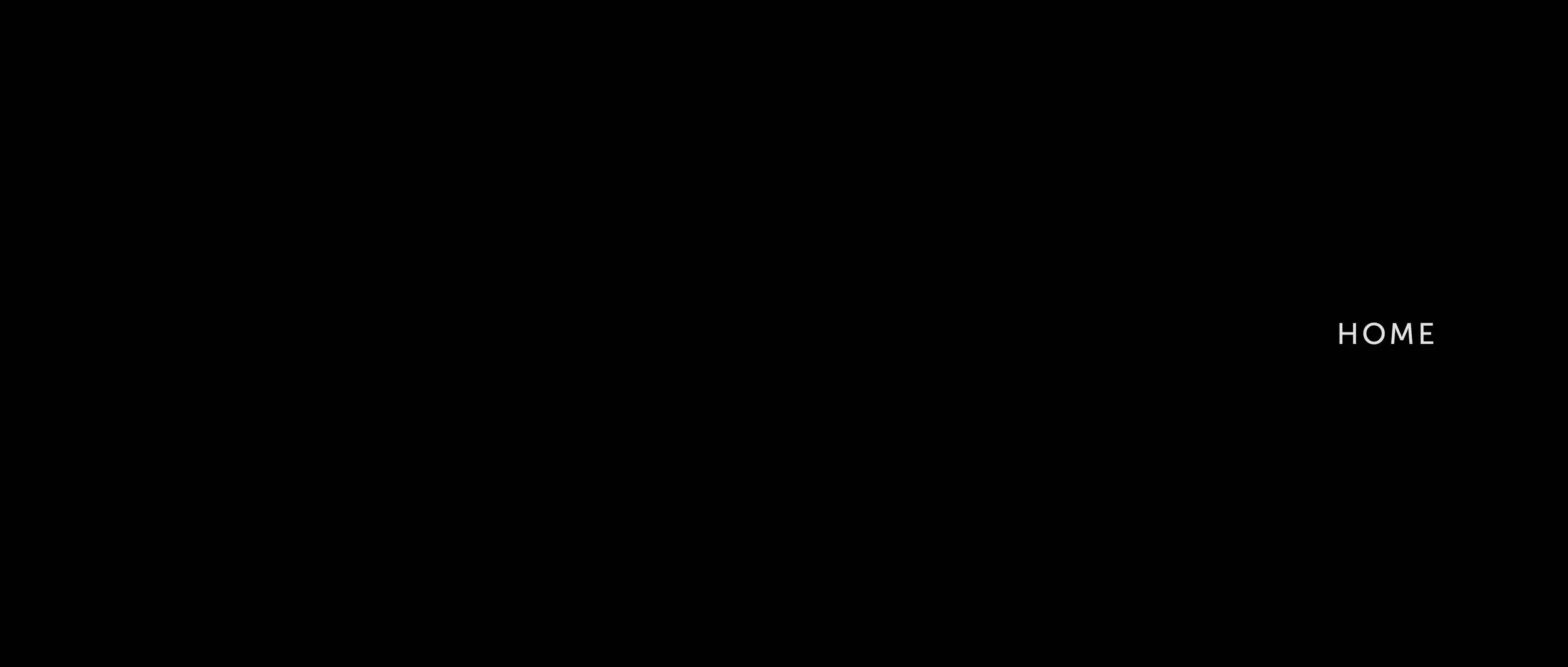 Haber_PitchBook_small17.jpg