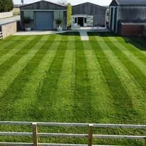 grassatback.jpg