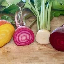 multicolouredbeetroot.jpg