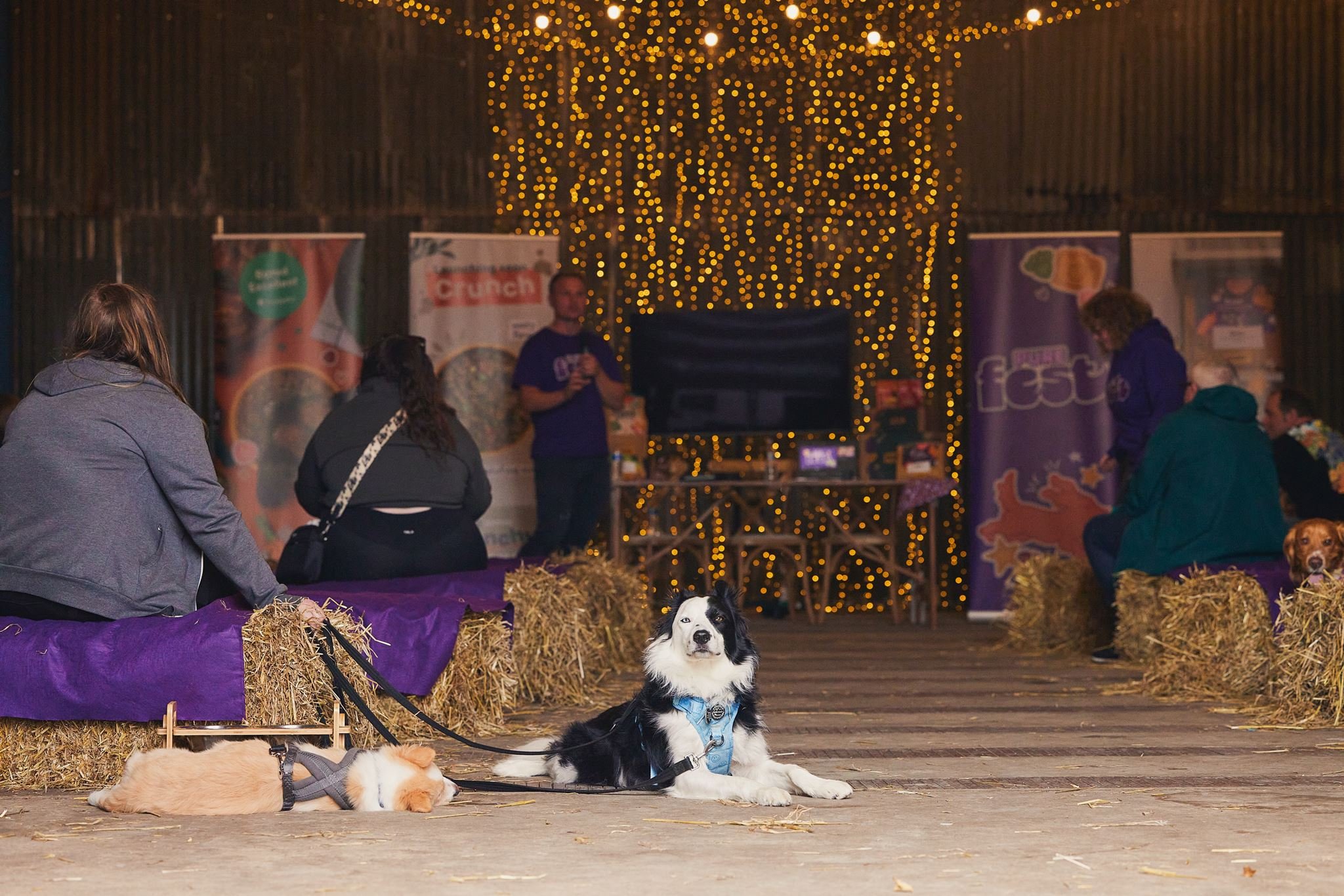 PUREFEST_391_websize.jpg