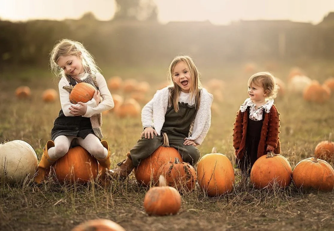 Pumpkins 2025 Bert S Barrow D4DD9657 7543 42F0 9AD1 EB3015EE35AC