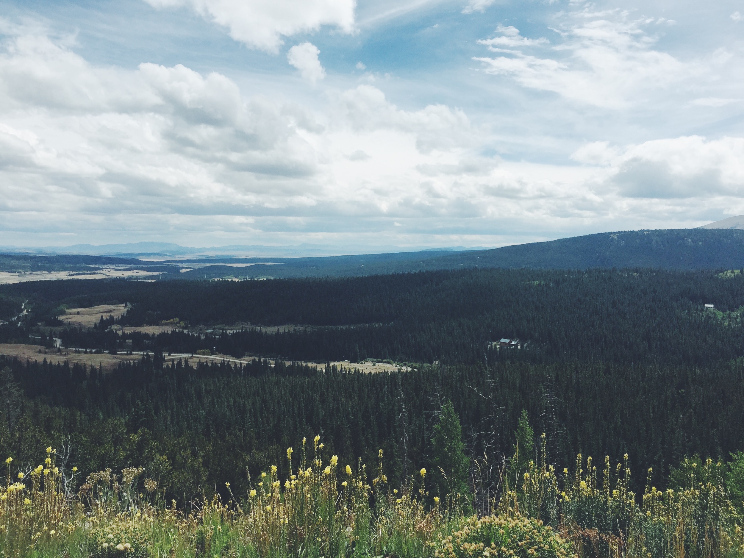 View from Windy Ridge of the Lower Mount Bross Trail