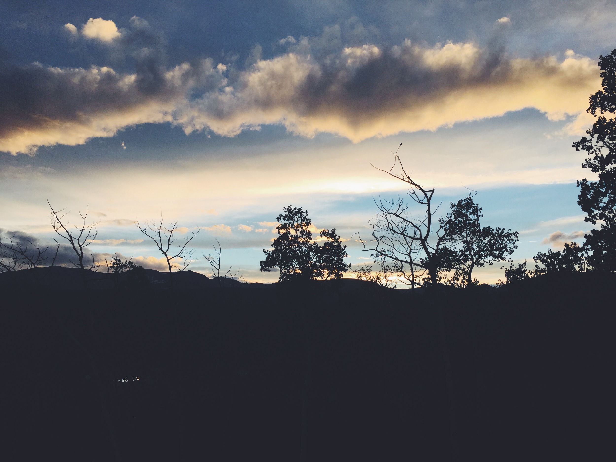 View at dusk from our cabin porch