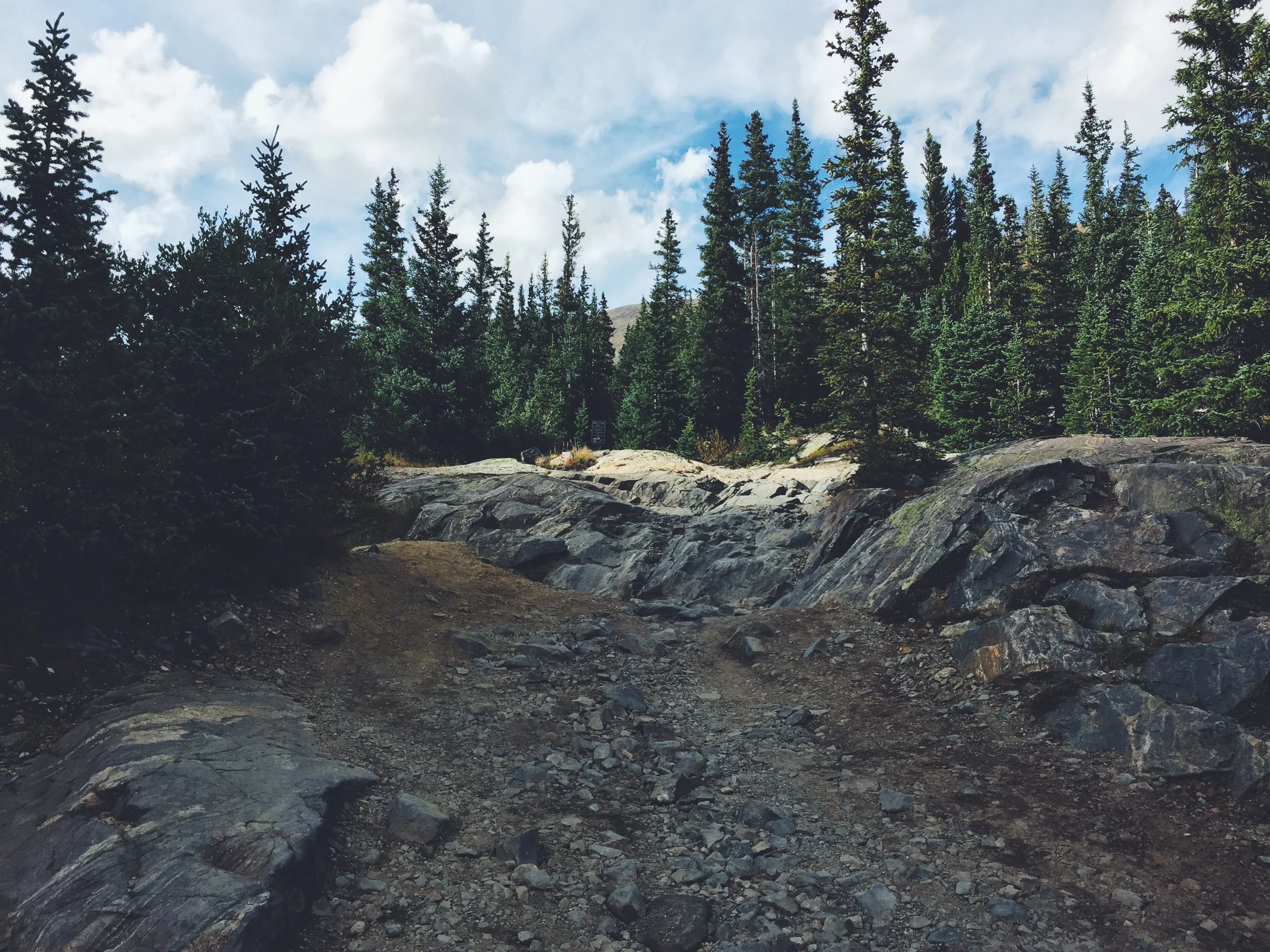 We attempted a level "red" trail called Wheeler Lake - we did not make it up! Thought "safety first!"