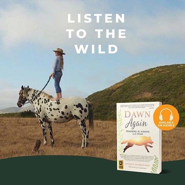 I have been doing a lot of listening in these last few months. Our family has shifted our behavior. We avoid going off the ranch as much as possible and when we do it is very efficient and planned. This has freed up more time to walk, swim and listen